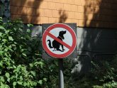 Правила Содержания Собак в Германии