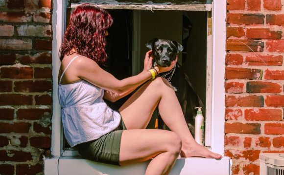 Собаки Подходящие для Содержания в Квартире